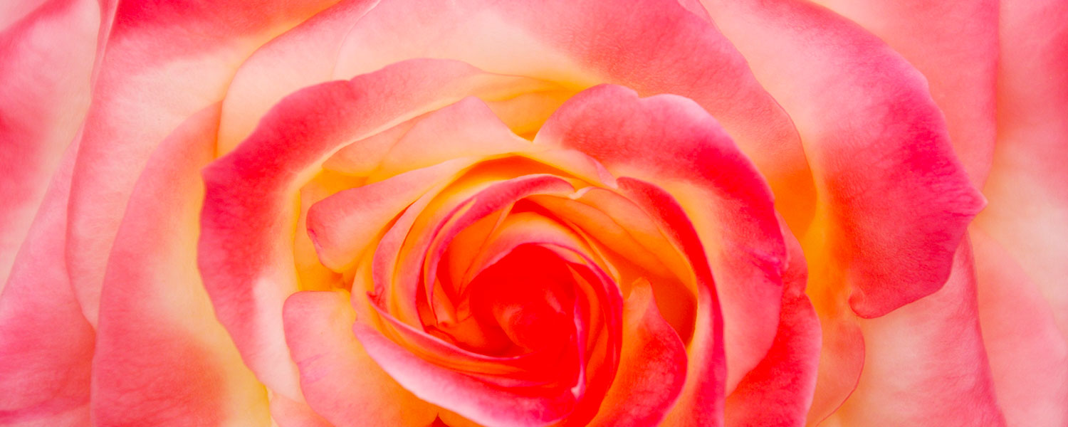 薬膳・漢方LOD - 五行色体表データ